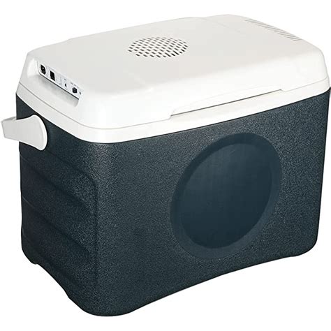 electric cooler box near me|portable electric cooler box.